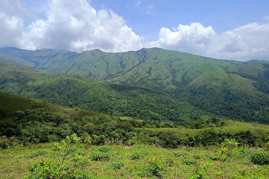 Bavikonda Grasslands
