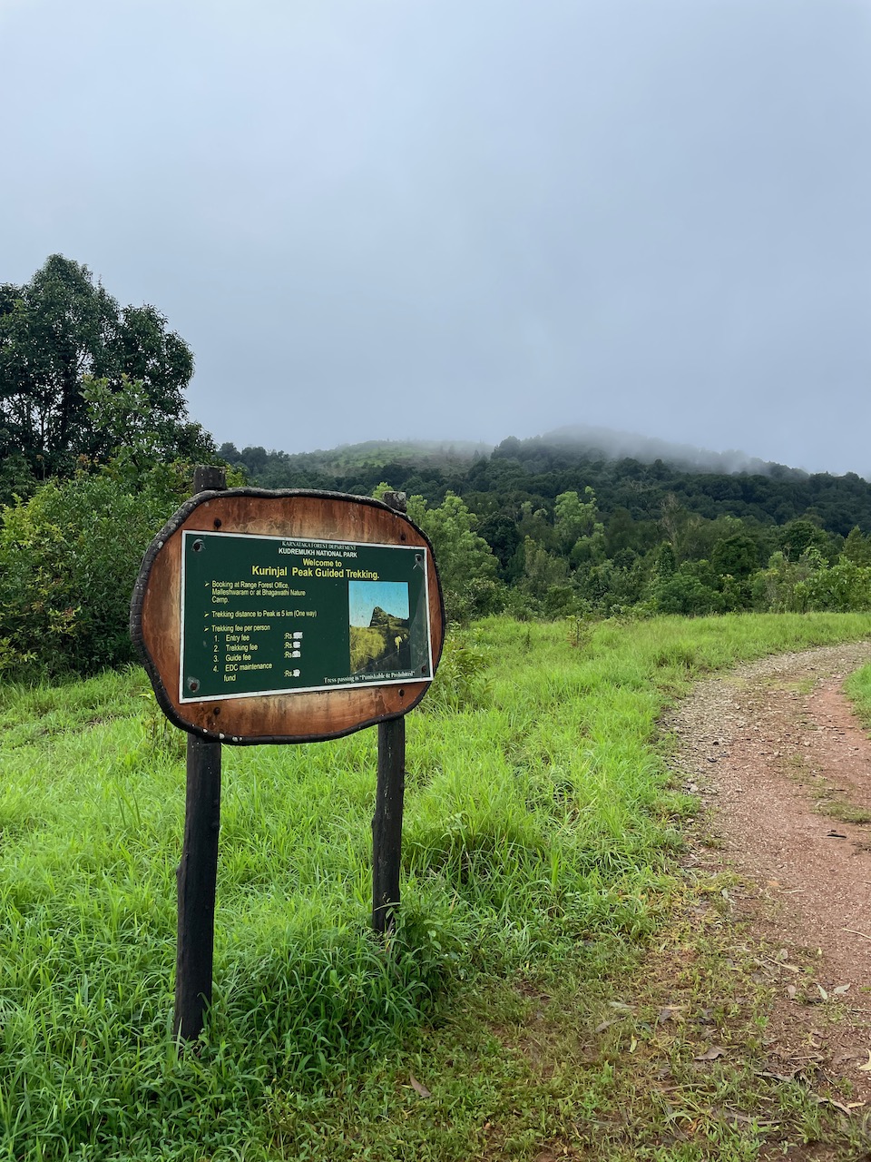 Kudremukh Valley View