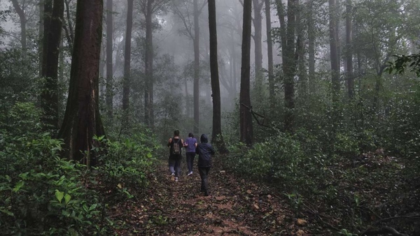 Kudremukh Trek View